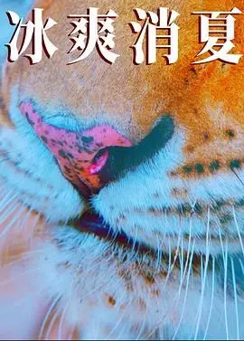 《寒冰白血》：绝望中绽放的生命之花，一场关于救赎与希望的感人诗篇